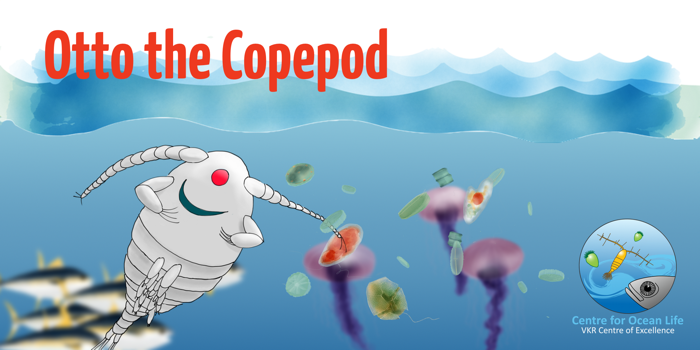 Otto the Copepod