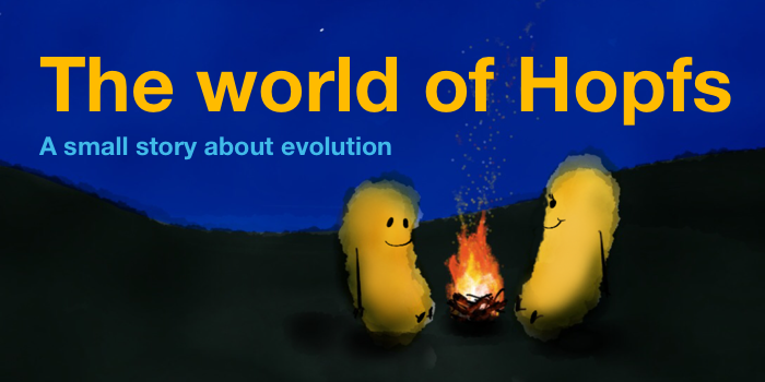 The World of Hopfs