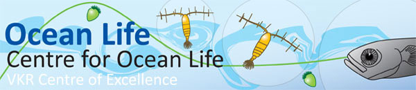 headerbanner