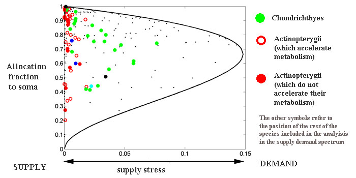Supply demand spectrum
