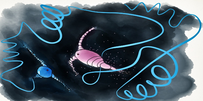 Two copepods and their mating ritual (Illustration Jan Heuschele)