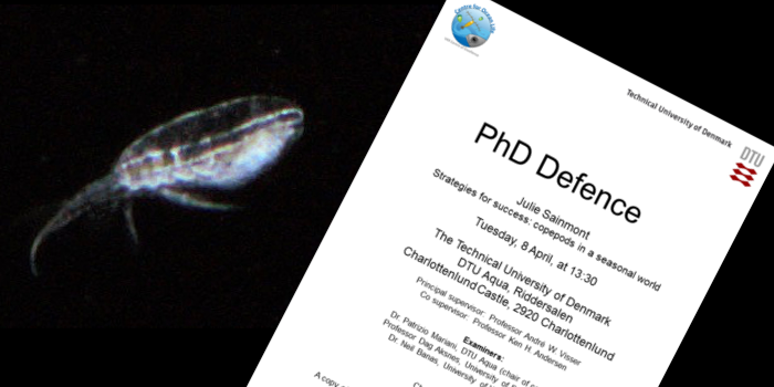 Julie Sainmont PhD defence