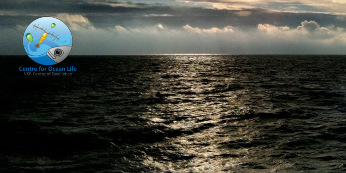 ocean life news, the ocean