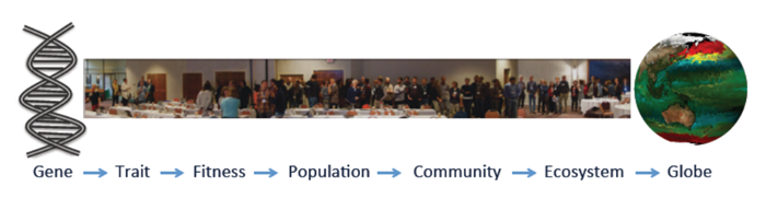 Workshop report