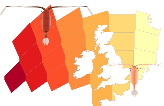 New paper on trait biogeography of marine copepods