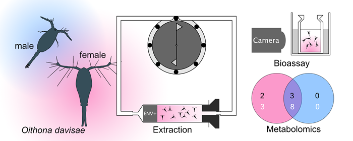 Paper on the sex-specific metabolic footprints of a copepod