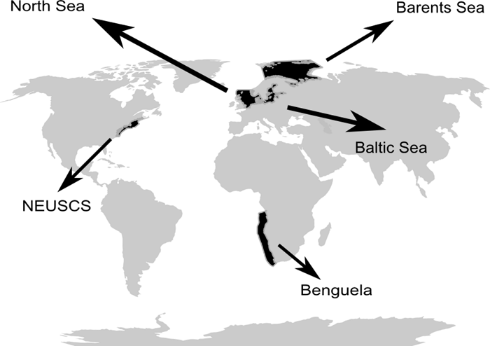 The five large marine ecosystems investigated in the paper (The North Sea, the Barents Sea, the Baltic Sea, The North East US Continental Shelf and the Benguela Current).