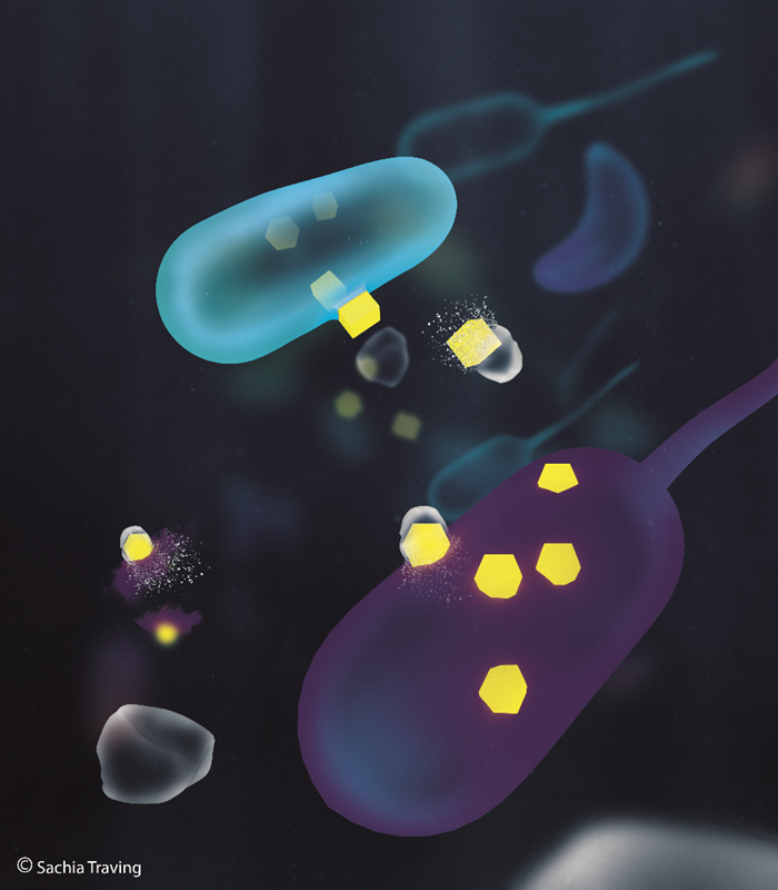 Enzyme