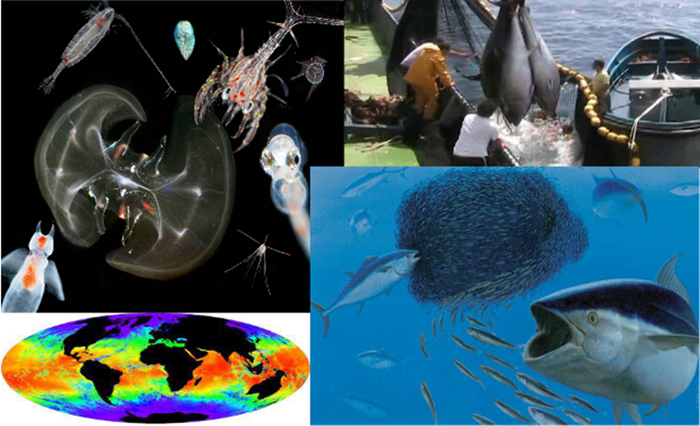 Presentation of the Centre of Ocean Life at the Italian Institute of Culture