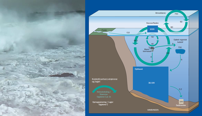 Why organic carbon persist in the oceans