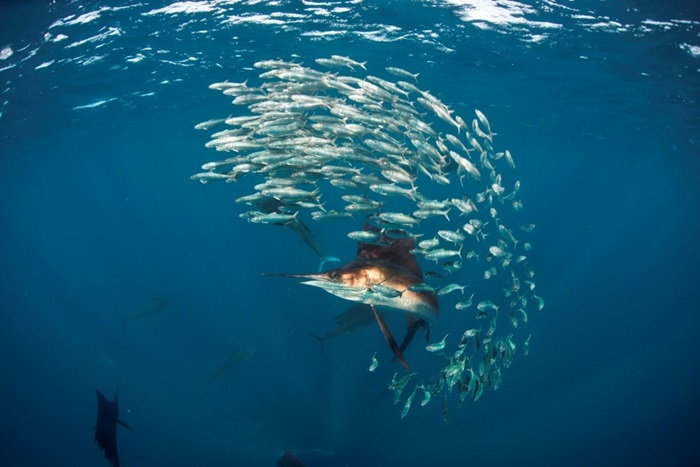 Under water