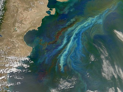 Temperature response of unicellular plankton communities