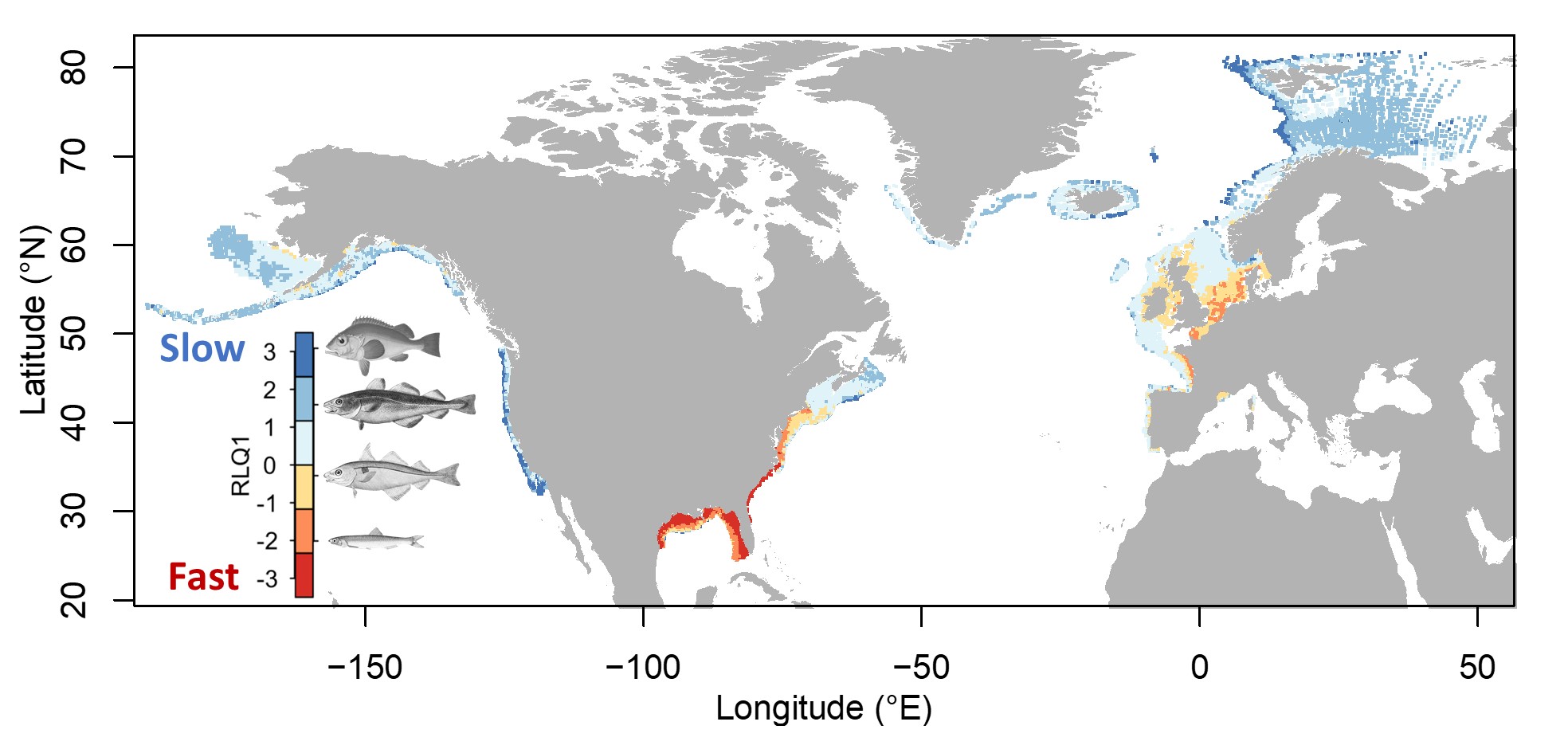 Illustration of marine fish traits follow fast-slow continuum across oceans