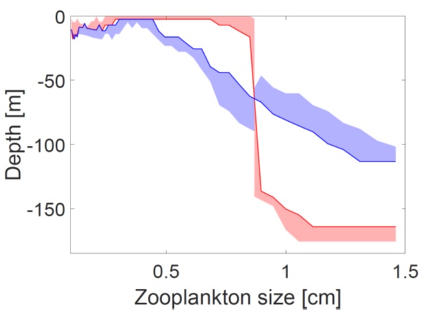 Illustration of trophic interactions drive diel vertical migration patterns