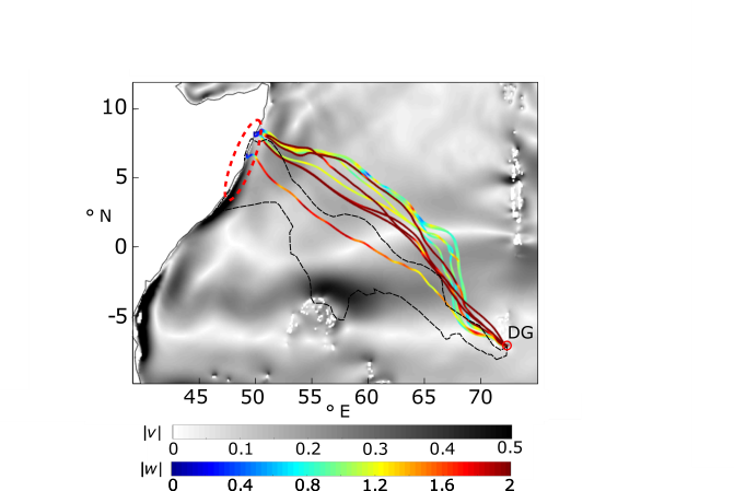 illustration of the way behavioural traits can influence long-distance migration patterns of large organisms